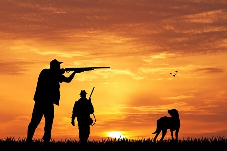 permiso de caza y armas