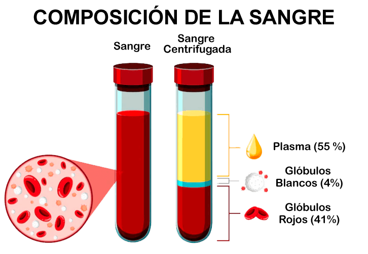 centrifugado de plasma